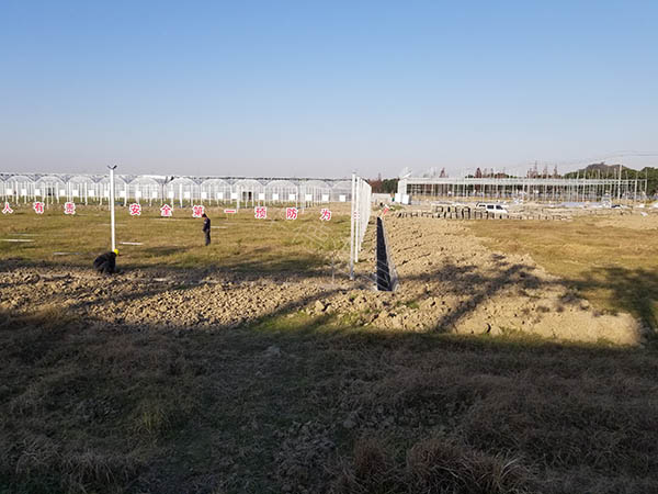 海盐县工程案例