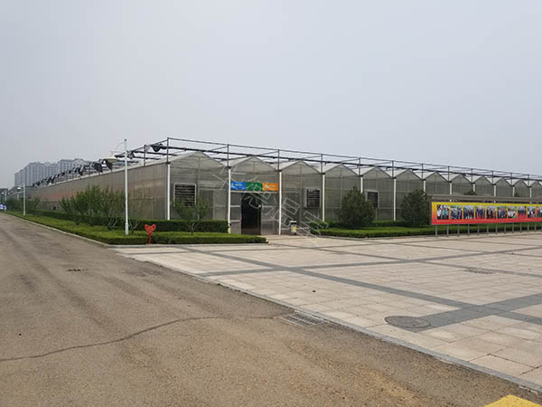 寿光市工程案例