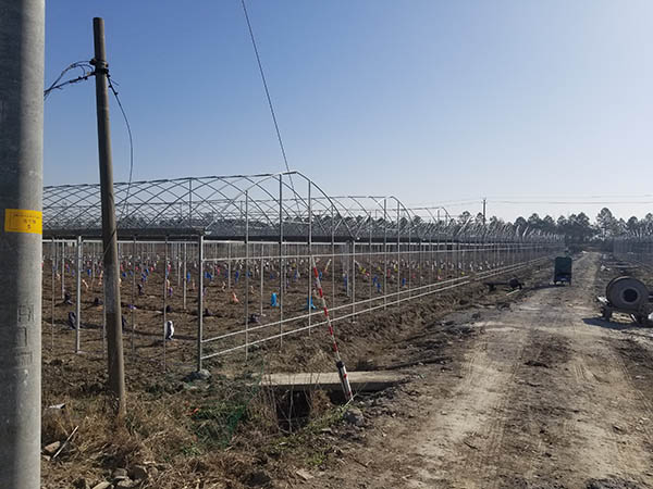 海盐县工程案例