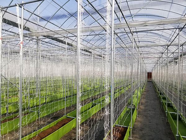 嘉兴市工程案例