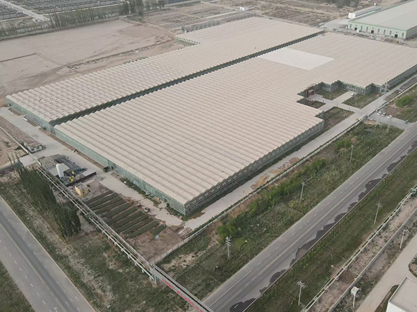 新疆 阿克苏温宿